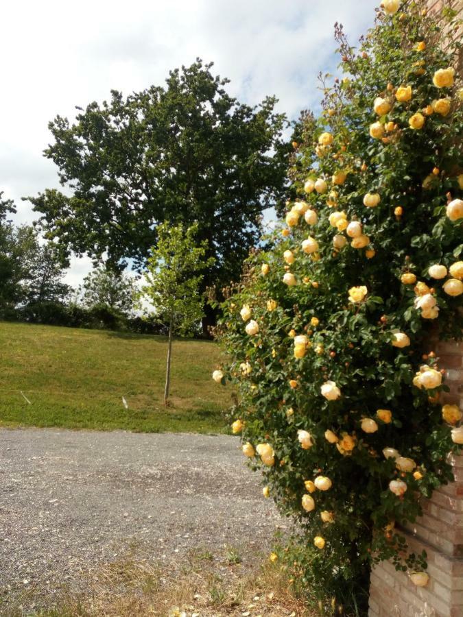 Agriturismo Ca' Preda San Giorgio Piacentino Exterior foto