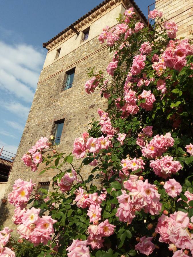 Agriturismo Ca' Preda San Giorgio Piacentino Exterior foto