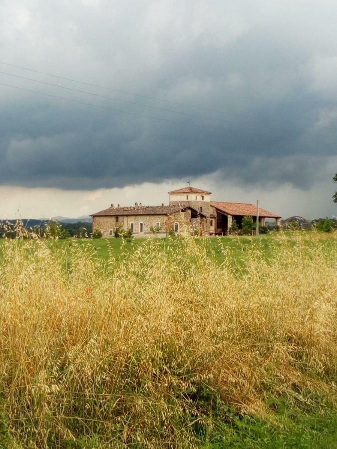Agriturismo Ca' Preda San Giorgio Piacentino Exterior foto